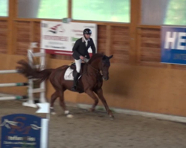Reitturnier Xanten - Reitanlage Miss 2020