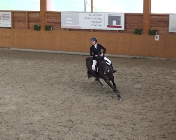 Reitturnier Xanten - Reitanlage Miss 2020