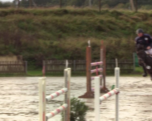 Reitturnier Schülp / Rendsburg 2020