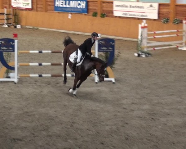 Reitturnier Xanten - Reitanlage Miss 2020