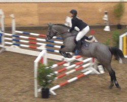 broodmare Ajola 3 (Holsteiner, 2008, from Ab 19 Chepetto)
