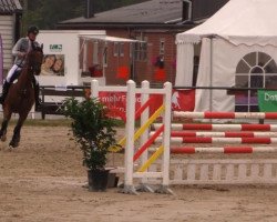 jumper Alloro FBH (Hanoverian, 2005, from Adlantico As)
