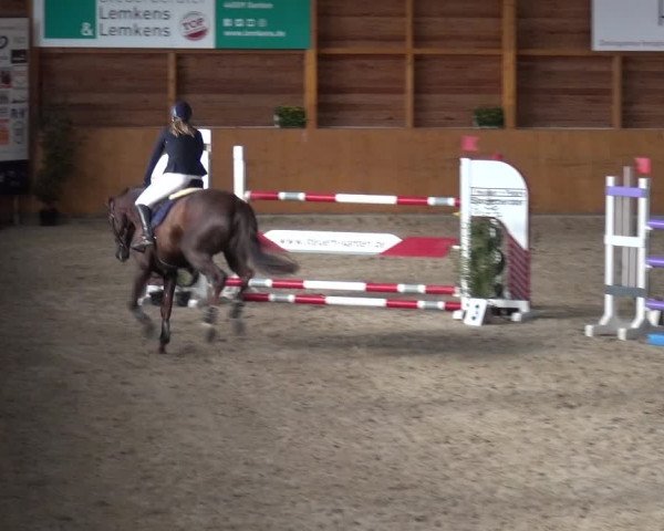 Reitturnier Xanten - Reitanlage Miss 2020