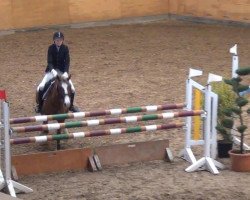 Zuchtstute Tamara 311 (Deutsches Reitpferd, 2003, von Zafiro)