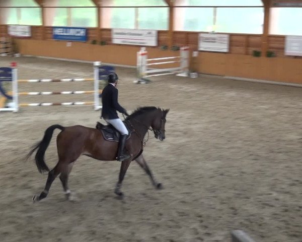 Reitturnier Xanten - Reitanlage Miss 2020