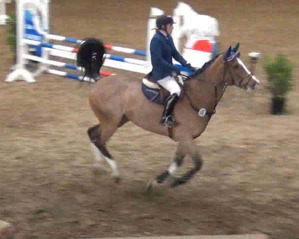broodmare A-Lizzy (Holsteiner, 2008, from Lancer II) broodmare A-Lizzy (Holsteiner, 2008, from Lancer II)