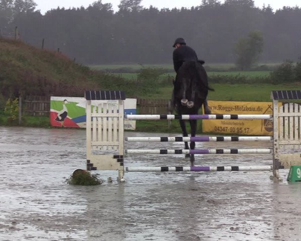 Reitturnier Schülp / Rendsburg 2020