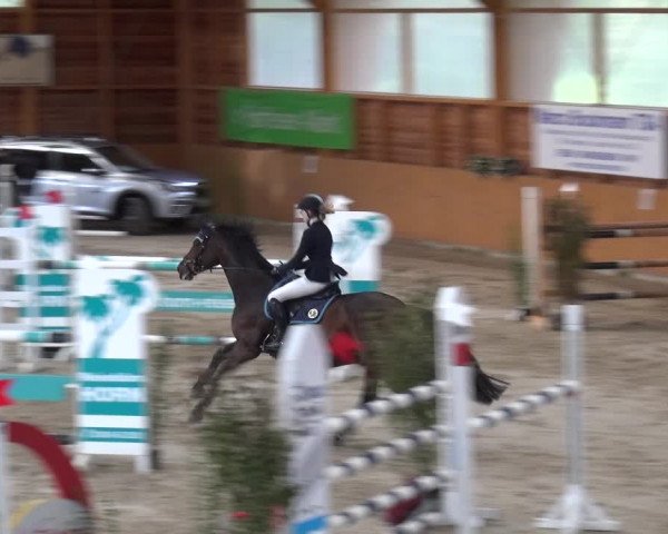 Reitturnier Xanten - Reitanlage Miss 2020