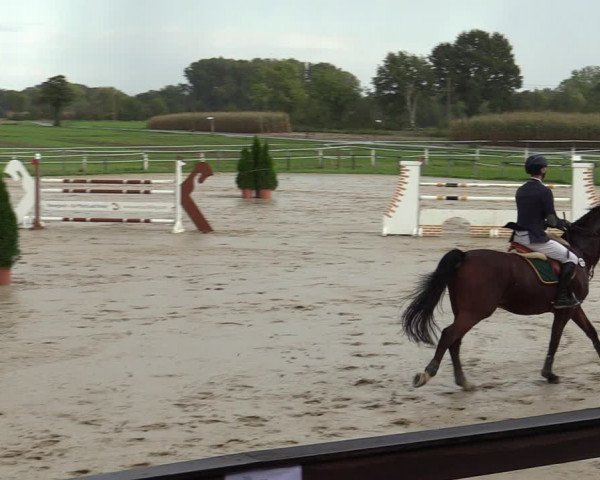 Reitturnier Altenberge 2020