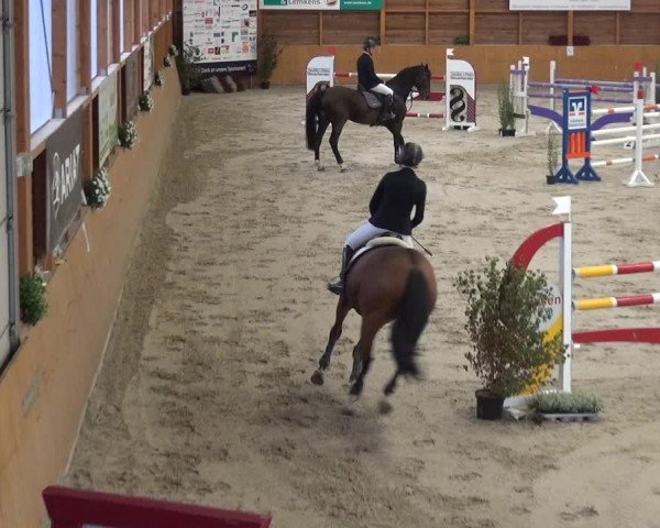 Reitturnier Xanten - Reitanlage Miss 2020