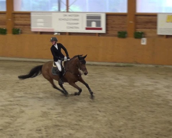 Reitturnier Xanten - Reitanlage Miss 2020