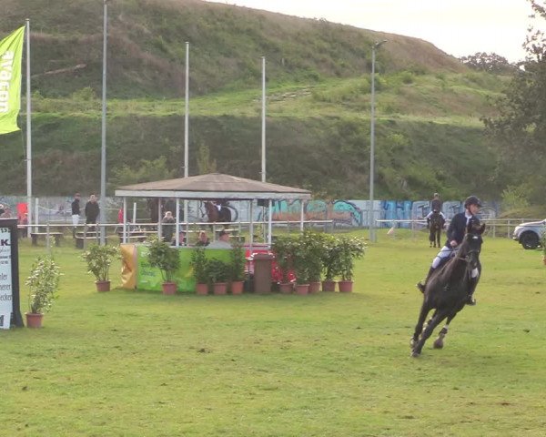 Reitturnier Gardelegen 2020