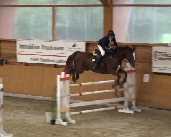 Reitturnier Xanten - Reitanlage Miss 2020