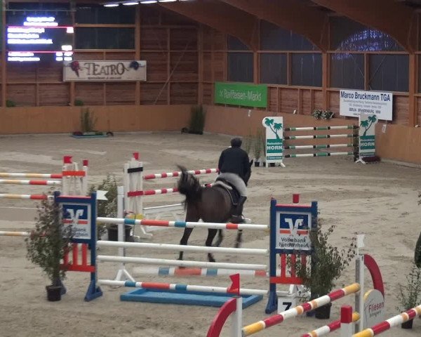 Reitturnier Xanten - Reitanlage Miss 2020