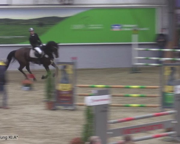 Reitturnier Legden 2020