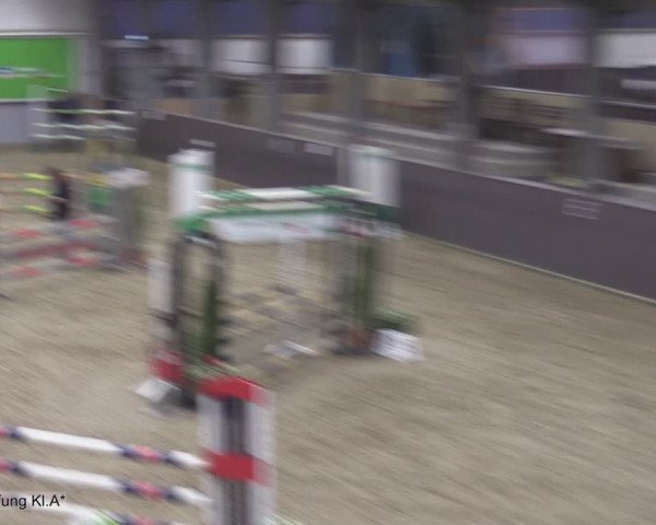 Reitturnier Legden 2020