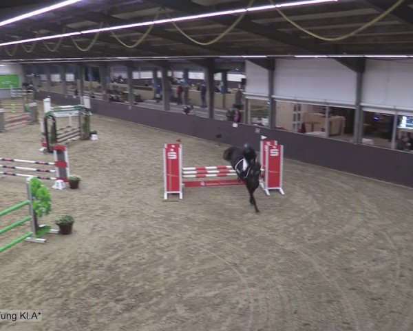 Reitturnier Legden 2020