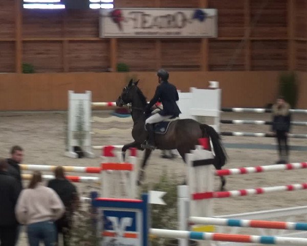 Reitturnier Xanten - Reitanlage Miss 2020
