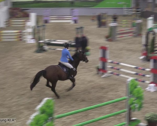 Reitturnier Legden 2020