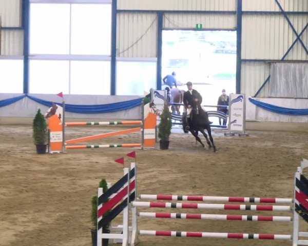 Reitturnier Buchs 2021