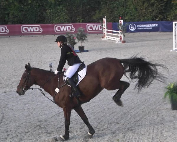 Reitturnier Worms-Pfeddersheim / Reitsportanlage Wittemer 2020