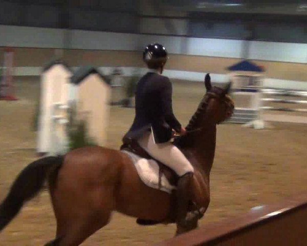 jumper With Pleasure 8 (Hanoverian, 2007, from For Edition)