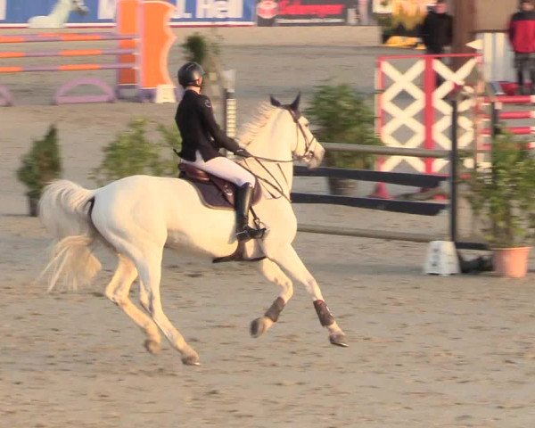 Reitturnier Westergellersen 2020