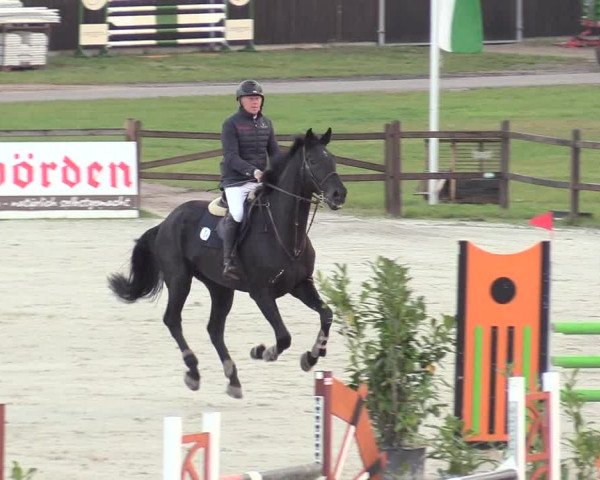 Reitturnier Westergellersen 2020