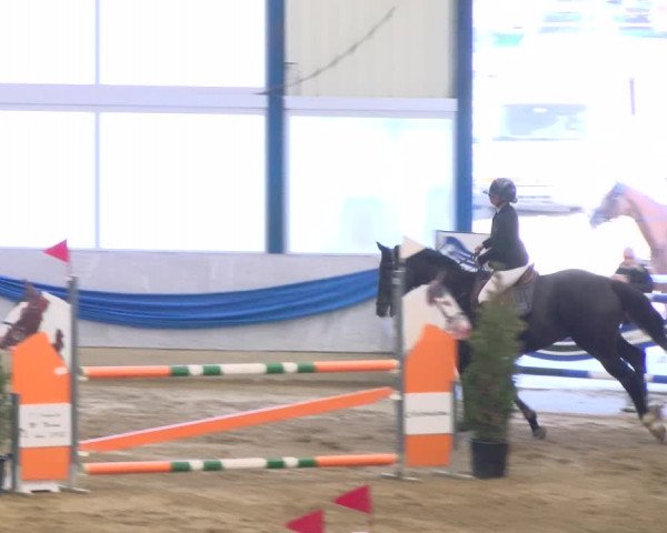 Reitturnier Buchs 2021