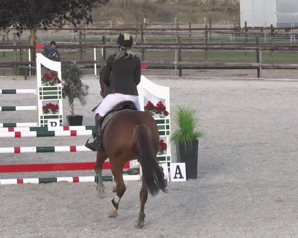 Reitturnier Worms-Pfeddersheim / Reitsportanlage Wittemer 2020