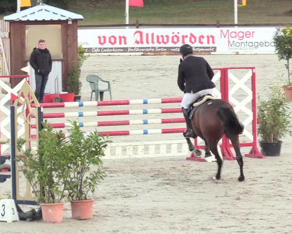 Reitturnier Westergellersen 2020