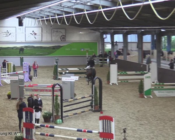 Reitturnier Legden 2020