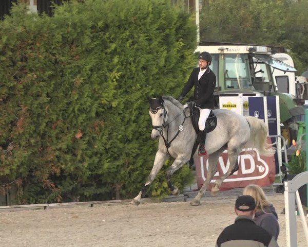 Reitturnier Worms-Pfeddersheim / Reitsportanlage Wittemer 2020