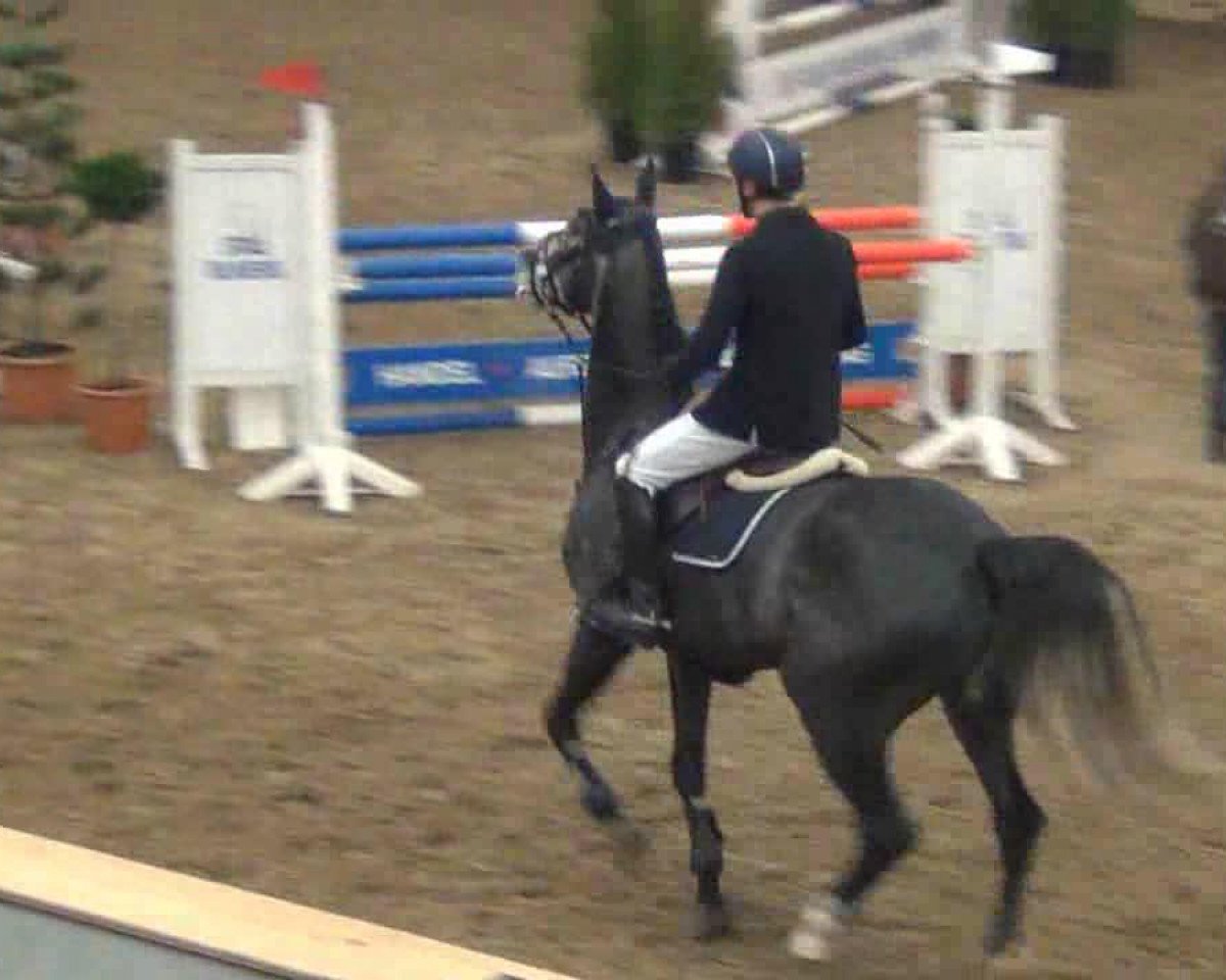 jumper Battle Cry 2 (Oldenburg, 2008, from Balou du Rouet)