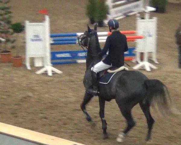 jumper Battle Cry 2 (Oldenburg, 2008, from Balou du Rouet)