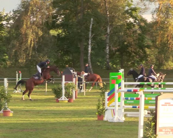 Reitturnier Gardelegen 2020