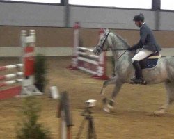 Jumper Couleur Argent 2 (Holsteiner, 2008, from Cormint)