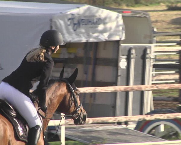 Reitturnier Worms-Pfeddersheim / Reitsportanlage Wittemer 2020