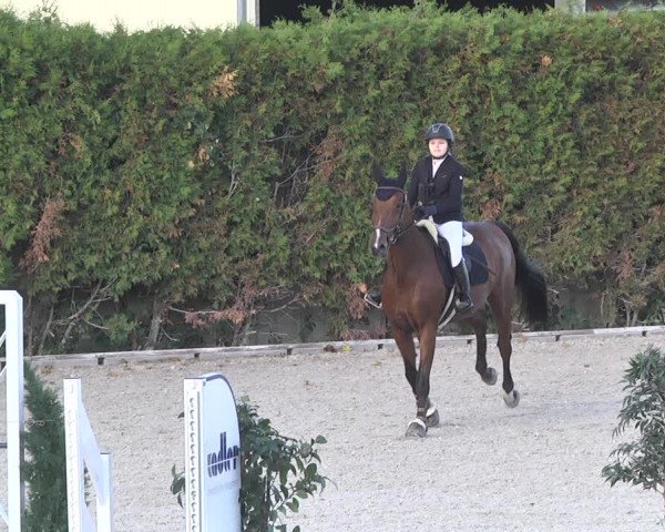 Reitturnier Worms-Pfeddersheim / Reitsportanlage Wittemer 2020