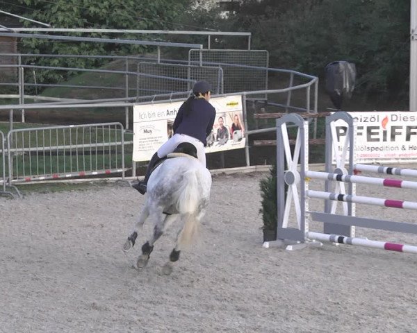 Reitturnier Worms-Pfeddersheim / Reitsportanlage Wittemer 2020