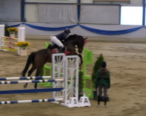 Reitturnier Buchs 2021