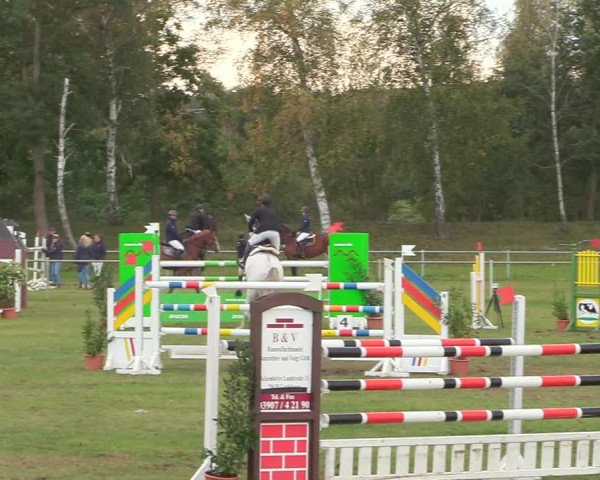 Reitturnier Gardelegen 2020