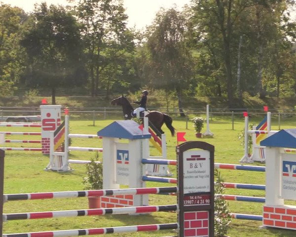Reitturnier Gardelegen 2020