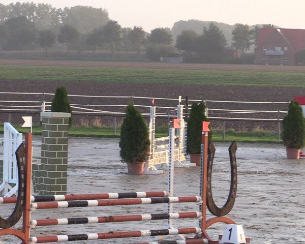 Reitturnier Altenberge 2020