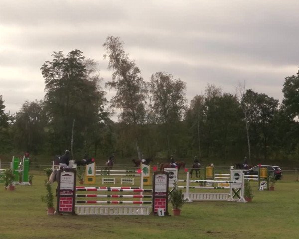Reitturnier Gardelegen 2020