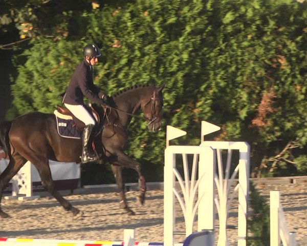 Reitturnier Worms-Pfeddersheim / Reitsportanlage Wittemer 2020