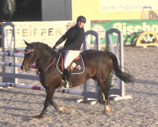 Reitturnier Worms-Pfeddersheim / Reitsportanlage Wittemer 2020