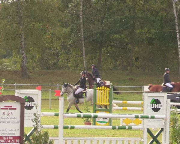 Reitturnier Gardelegen 2020