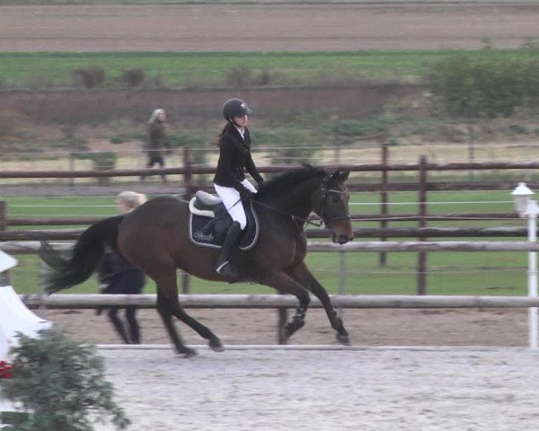 Reitturnier Worms-Pfeddersheim / Reitsportanlage Wittemer 2020