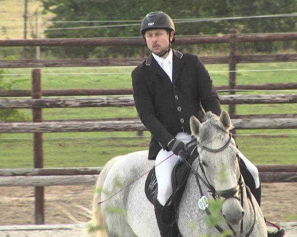 Reitturnier Worms-Pfeddersheim / Reitsportanlage Wittemer 2020